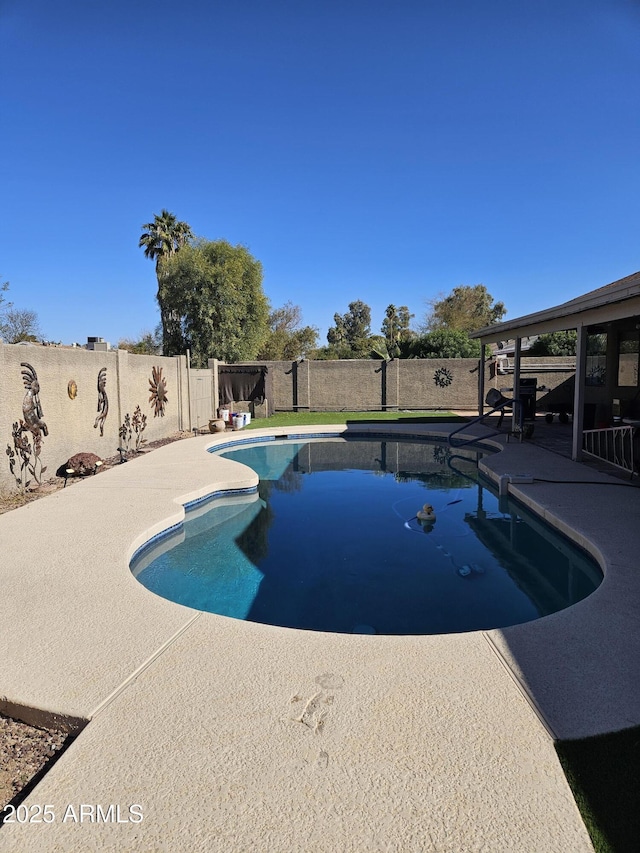 view of swimming pool with a patio