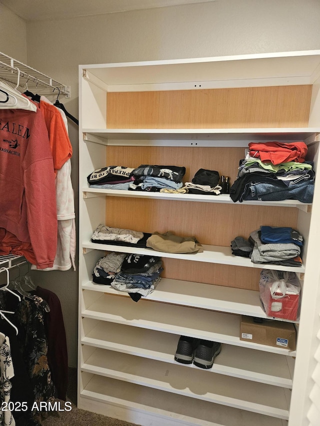 walk in closet featuring carpet flooring