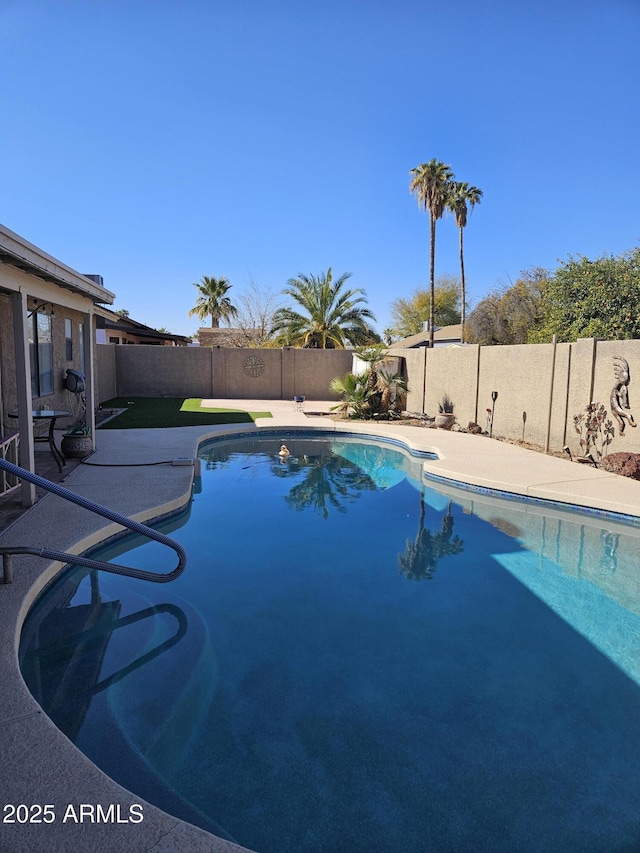 view of pool featuring a patio