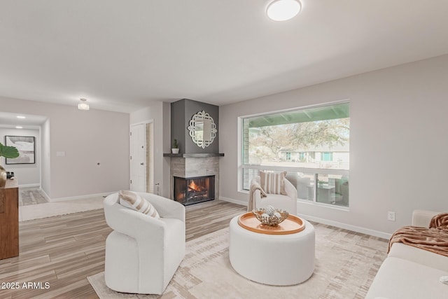 living room featuring wood-type flooring