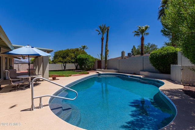 view of swimming pool with a patio