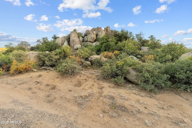 view of landscape