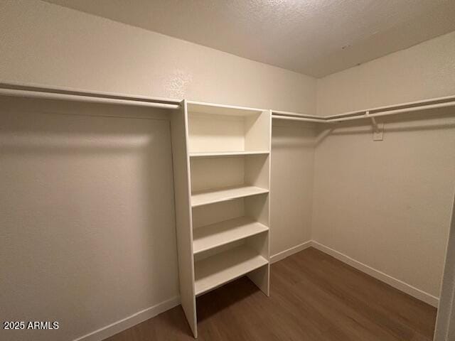 spacious closet featuring dark hardwood / wood-style flooring