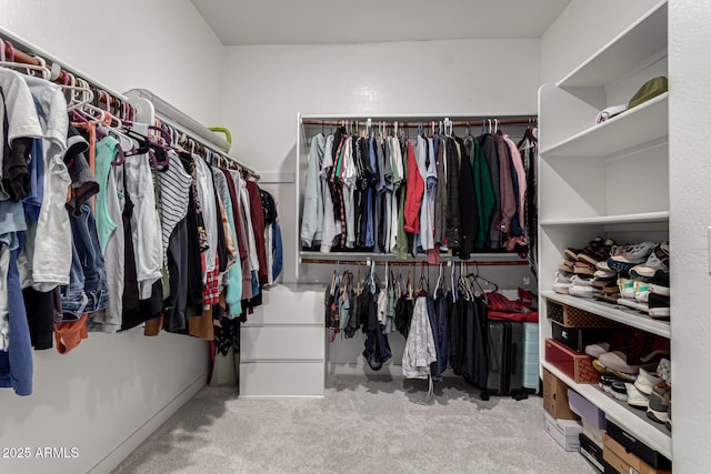 spacious closet featuring light carpet