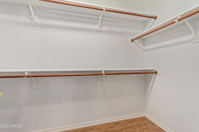 walk in closet featuring hardwood / wood-style flooring