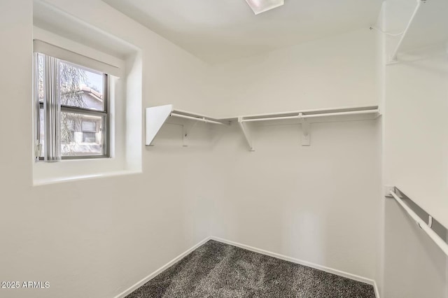 spacious closet with dark carpet