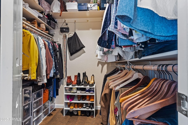 walk in closet with dark hardwood / wood-style flooring