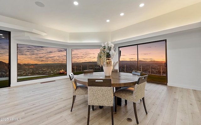 dining space with light hardwood / wood-style floors