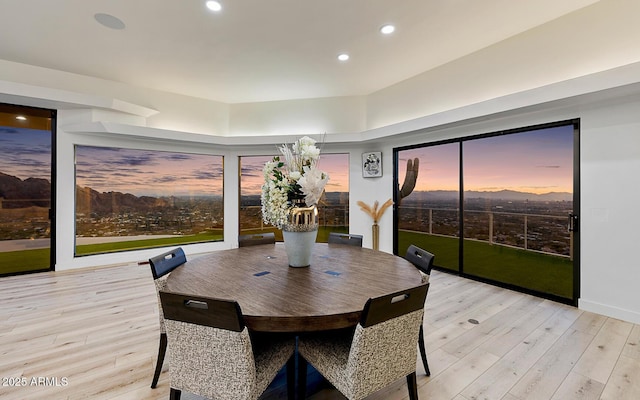 dining room with light hardwood / wood-style floors