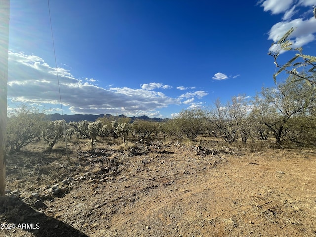 251 Cereza Ct Unit 24, Rio Rico AZ, 85648 land for sale