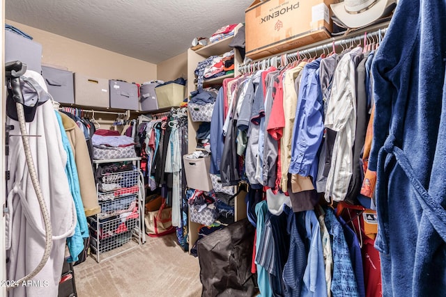 walk in closet featuring carpet