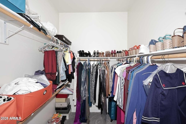 view of spacious closet