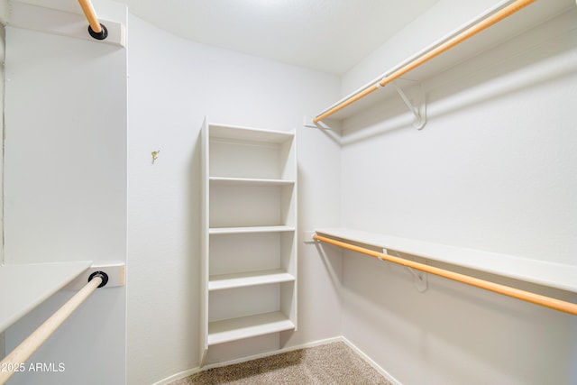 spacious closet with carpet