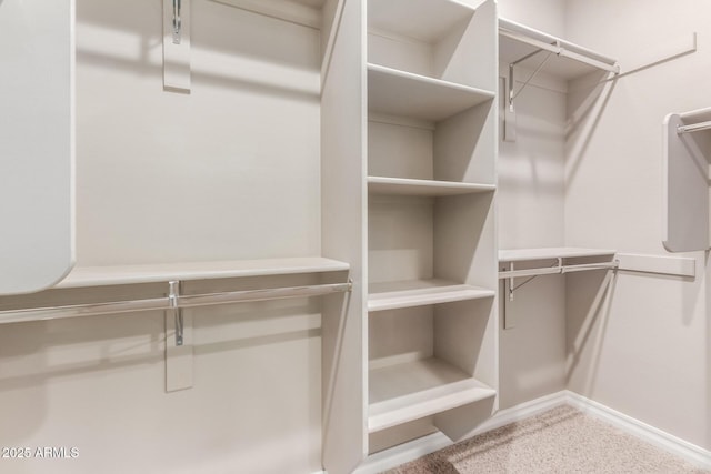 spacious closet with carpet