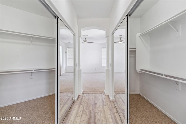 spacious closet featuring ceiling fan and light hardwood / wood-style flooring