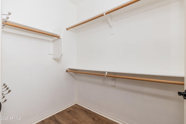 walk in closet featuring wood finished floors