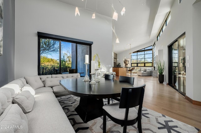 dining room with light hardwood / wood-style flooring and high vaulted ceiling