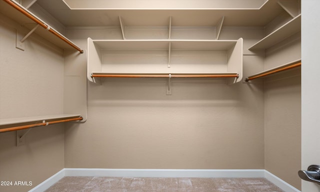 walk in closet featuring light colored carpet