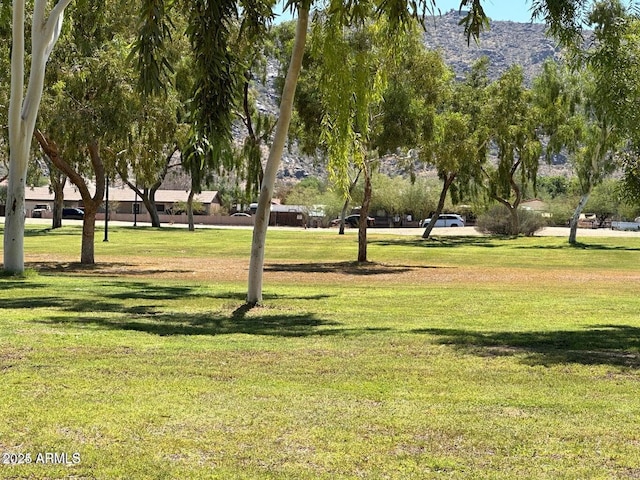 view of home's community featuring a lawn