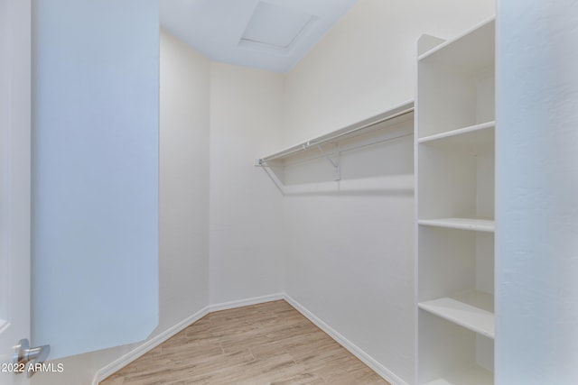 spacious closet with light wood-type flooring