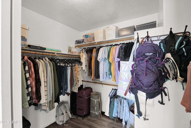 spacious closet featuring hardwood / wood-style flooring