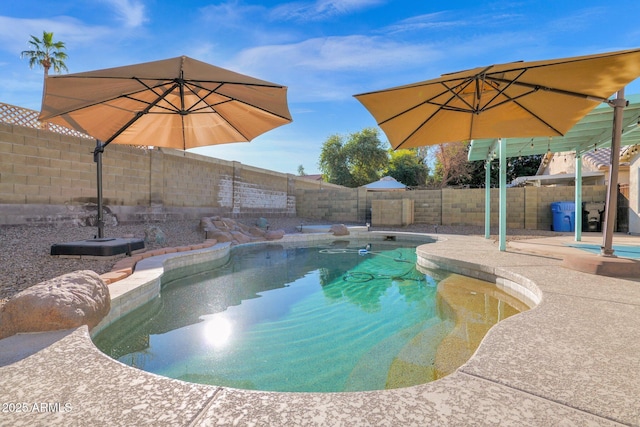 view of swimming pool featuring a patio