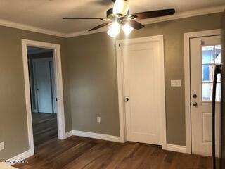 interior space featuring crown molding, ceiling fan, and dark hardwood / wood-style floors