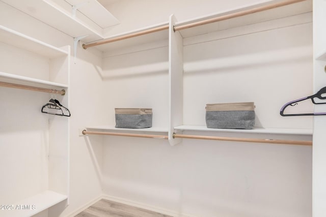 205 N 74th St Unit 110, Mesa, AZ 85207 - walk in closet featuring wood finished floors