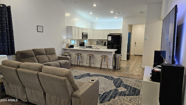 living room with high vaulted ceiling and light hardwood / wood-style flooring