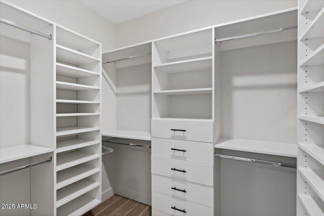 spacious closet featuring hardwood / wood-style flooring