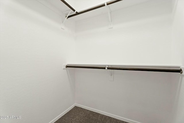 walk in closet with dark carpet