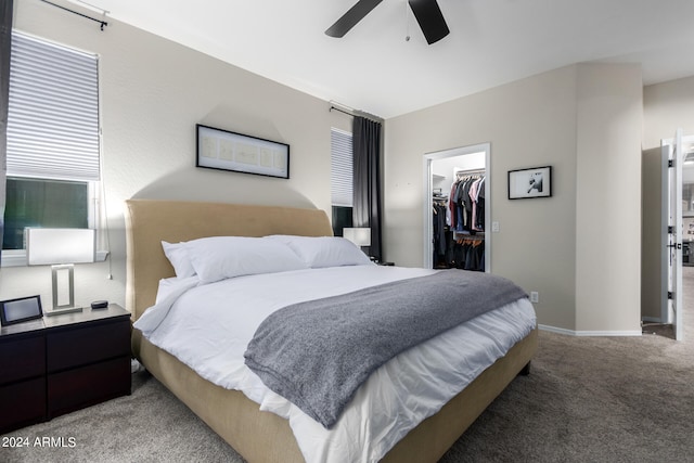 bedroom with a closet, a walk in closet, carpet floors, and ceiling fan