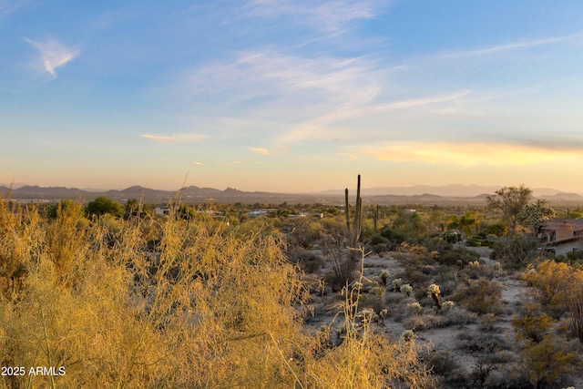 view of landscape featuring a mountain view