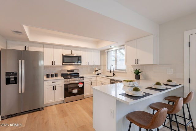 1301 N 44th St, Phoenix, AZ 85008 - kitchen with appliances with stainless steel finishes, a sink, a raised ceiling, and a peninsula