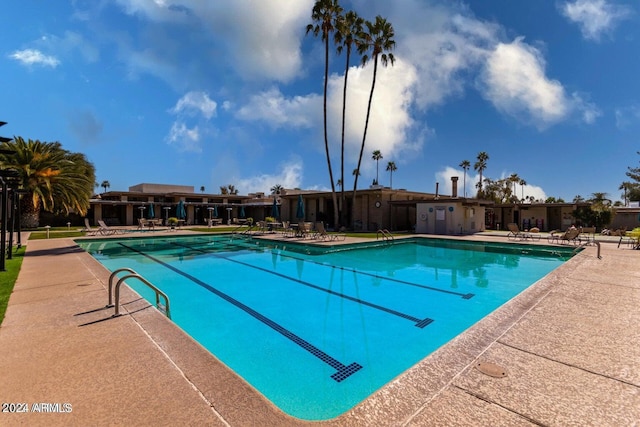 view of pool featuring a patio