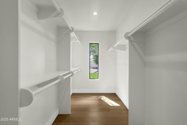 10013 N 106th Pl, Scottsdale, AZ 85258 - spacious closet with dark wood finished floors