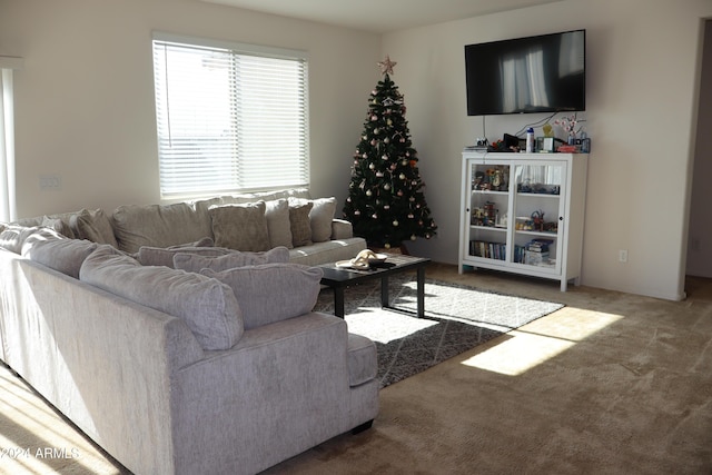 living room with carpet floors