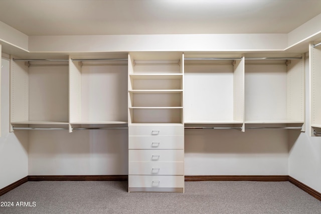 spacious closet featuring light colored carpet