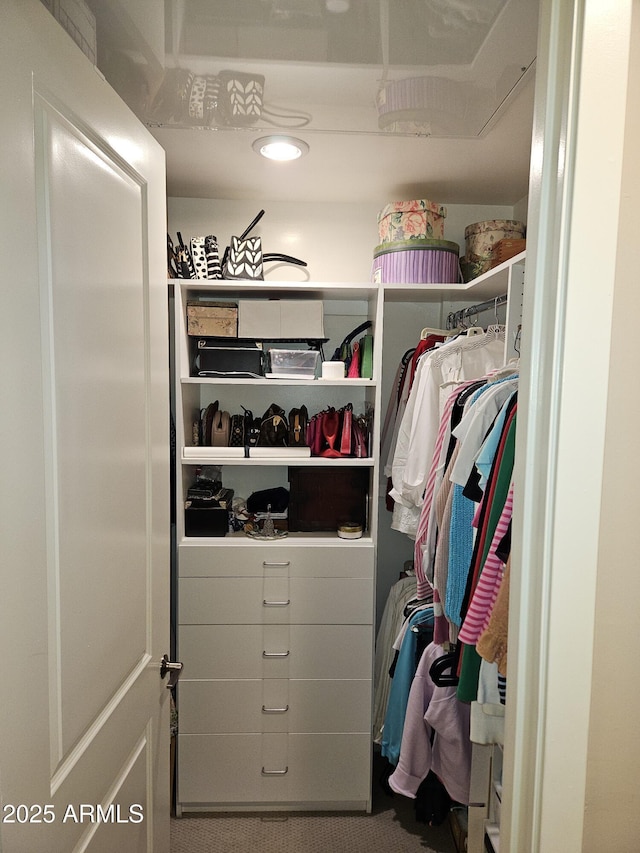 view of spacious closet