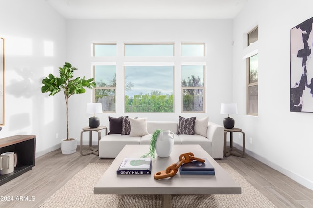 living room featuring light hardwood / wood-style floors