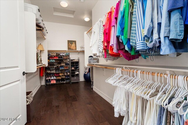 walk in closet featuring wood-type flooring