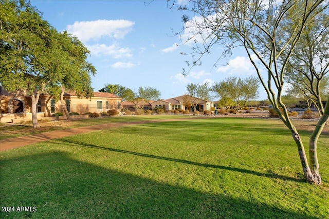 view of community with a yard