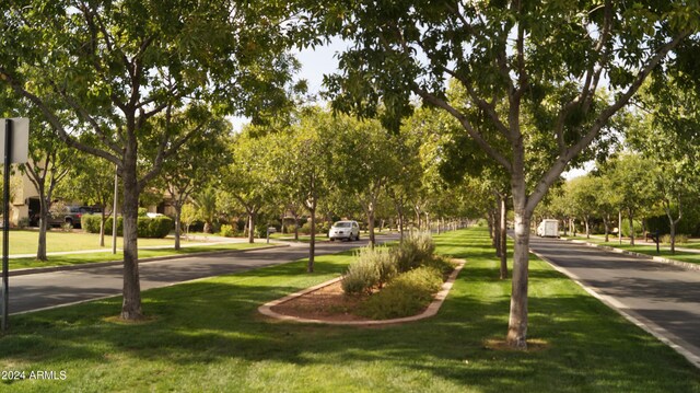 view of community with a lawn