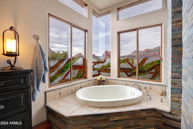 bathroom featuring a bathing tub and a healthy amount of sunlight