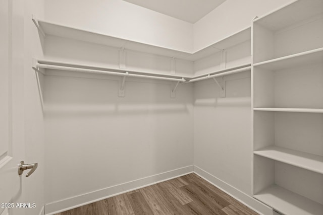 walk in closet with wood finished floors