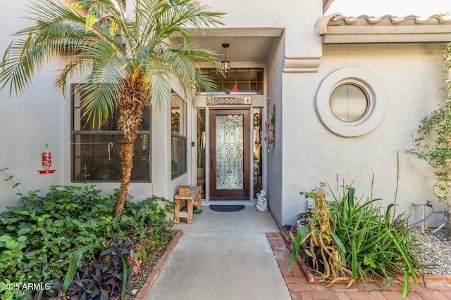 entrance to property featuring stucco siding