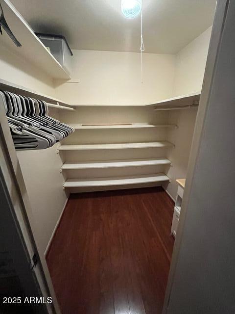 spacious closet featuring dark hardwood / wood-style floors