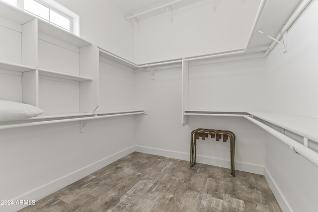 spacious closet featuring wood-type flooring