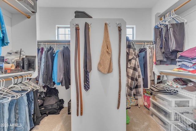 spacious closet with carpet