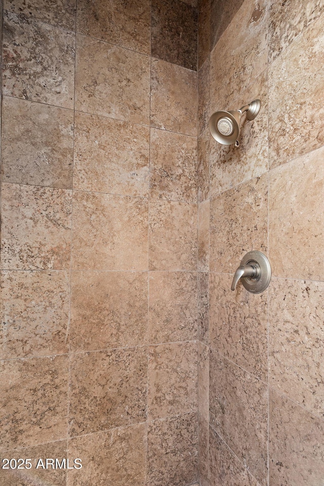 interior details featuring tiled shower